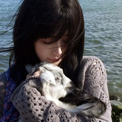 快乐寻回犬